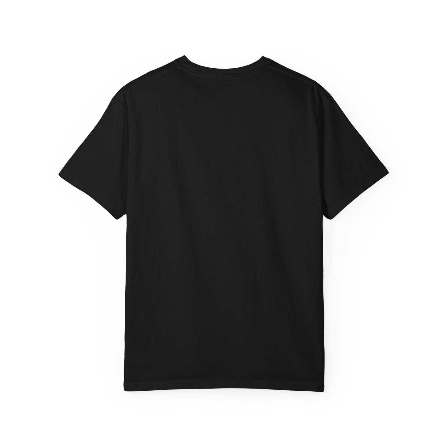 Chaos and Cuddles Cat T-Shirt: Funny Pet Lover Gift