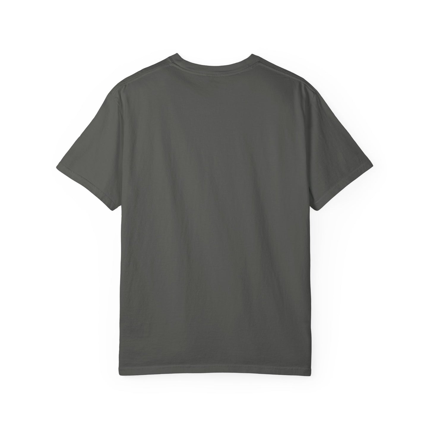 Chaos and Cuddles Cat T-Shirt: Funny Pet Lover Gift
